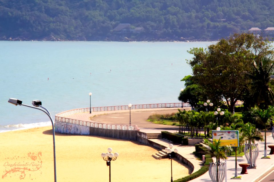 Quy Nhơn - Bình Định -Việt Nam