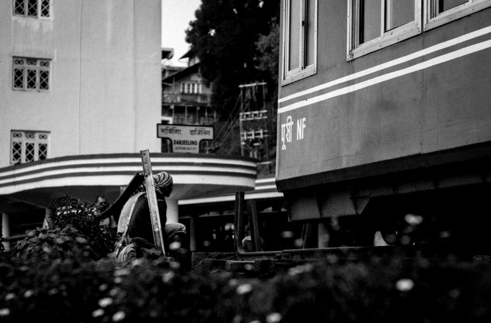 Darjeeling Stories