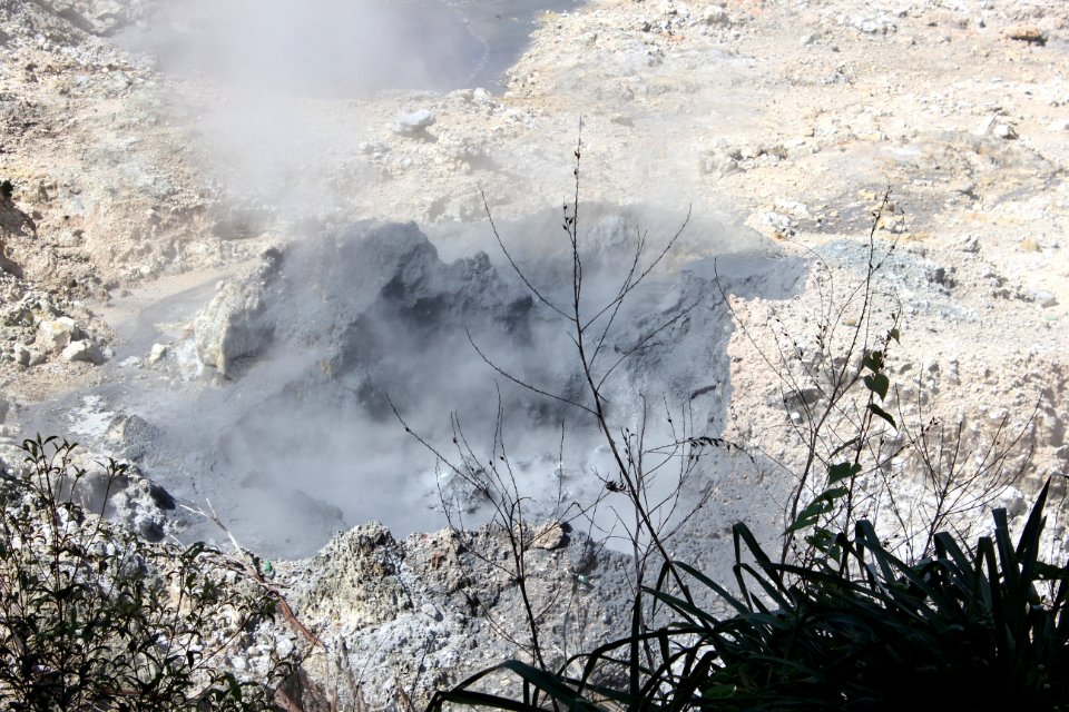 IMG 0269