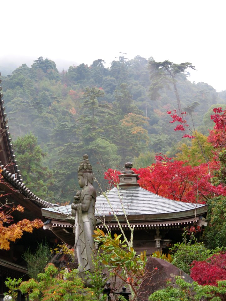 Miyajima Daisho-in autumn (宮島)