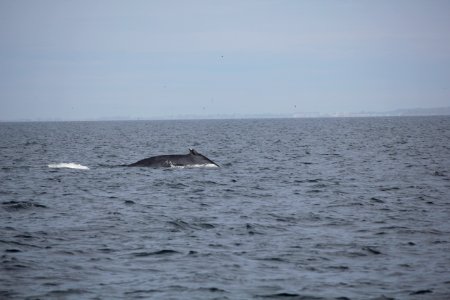 IMG 9167