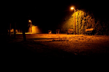 La QUINTE de nuit. photo