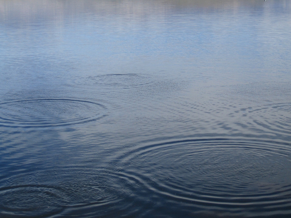Blue wave circles