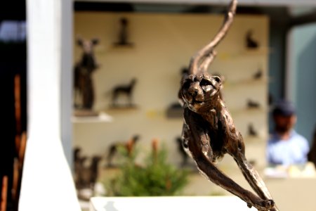 Chelsea Flower Show 2018-46
