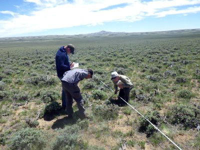 Veg Survey South Pass 1.DennisDoncaster