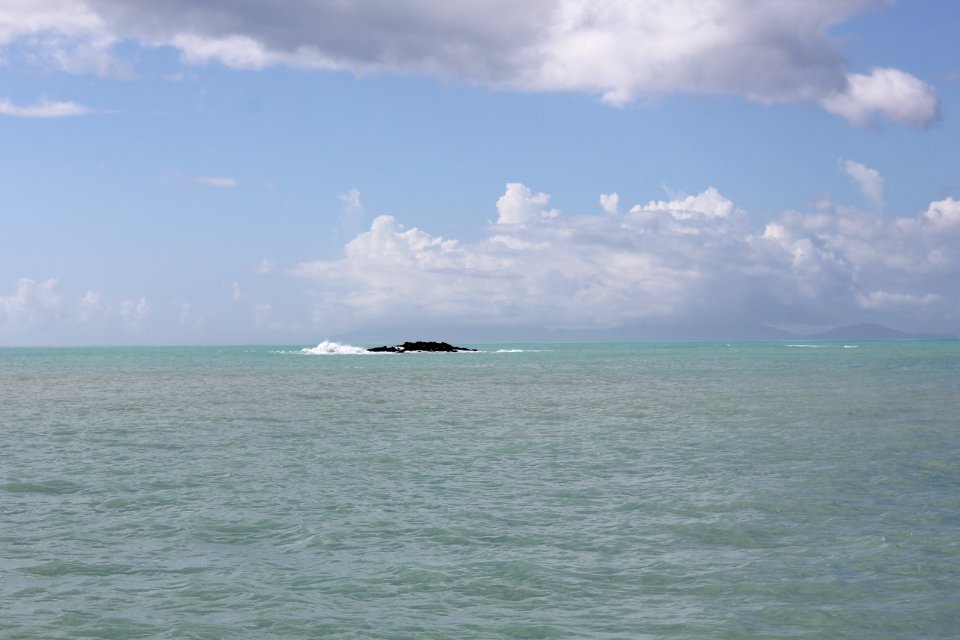 IMG 0246