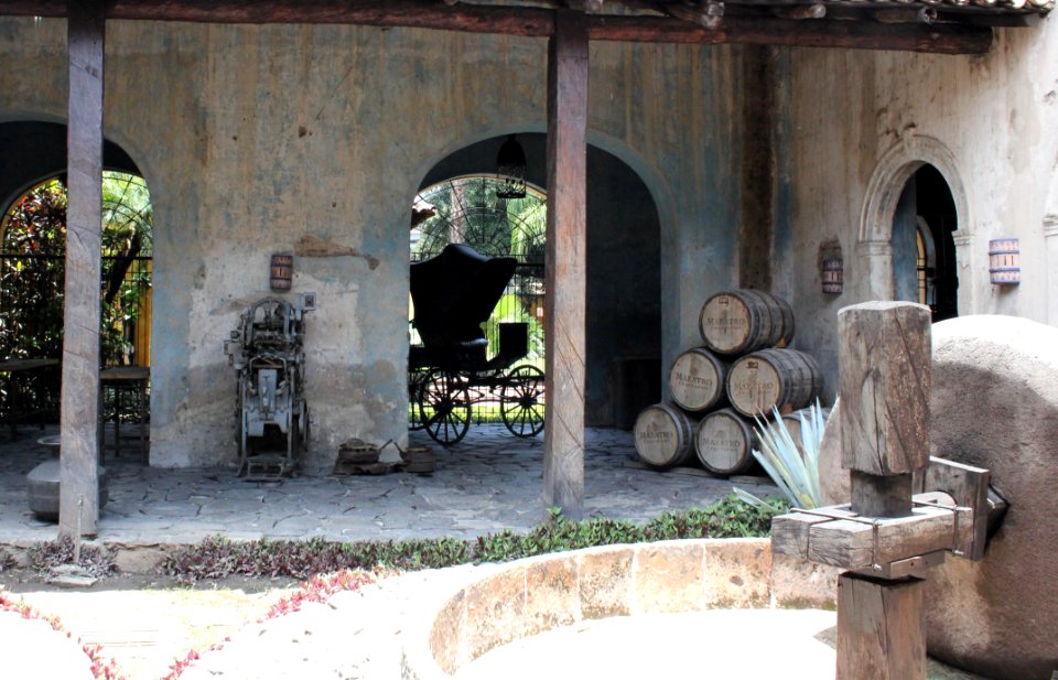 Guadalajara Tequila Town 16