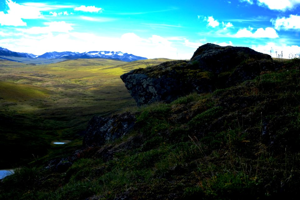toolik land scape