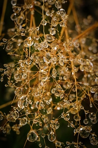 Nature water droplets rain