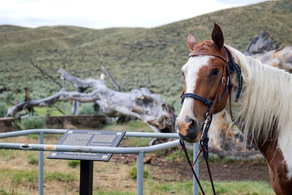Willow Spring Pony Express Station Site