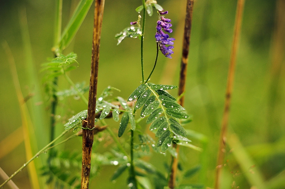 Weather drop outdoor