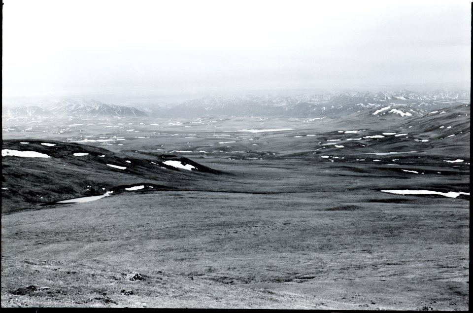 brooks range from toolik