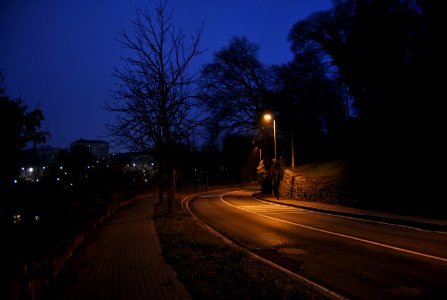 DSC 0221