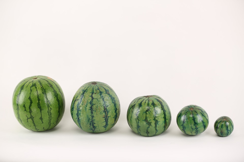 Watermelon illusion paint