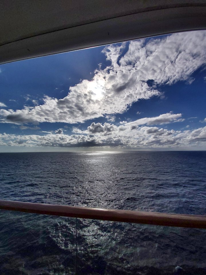 Celebrity Reflection