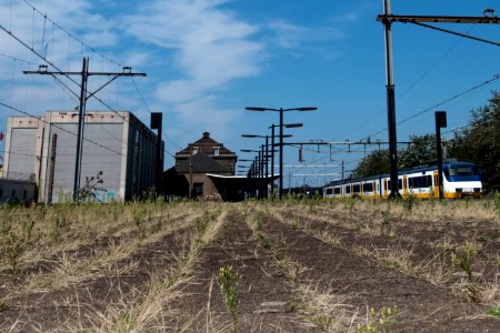 Abandoned Railway platform, Hoek van Holland photo