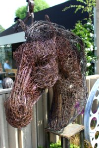Chelsea Flower Show 2018-22