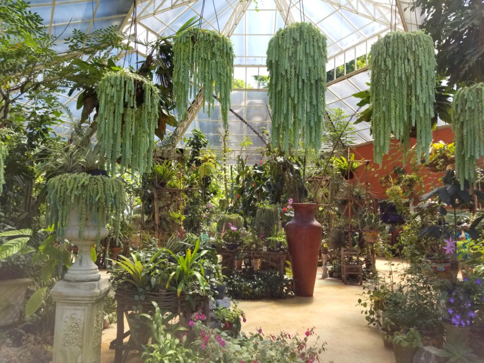 at the botanical gardens
