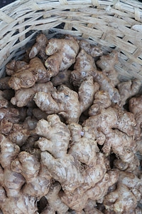 Food eat vegetable market photo