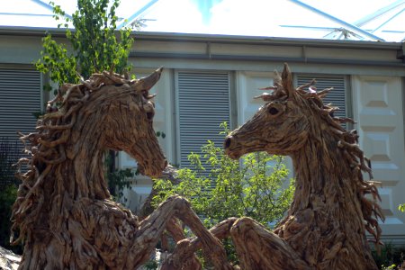 Chelsea Flower Show 2018-59