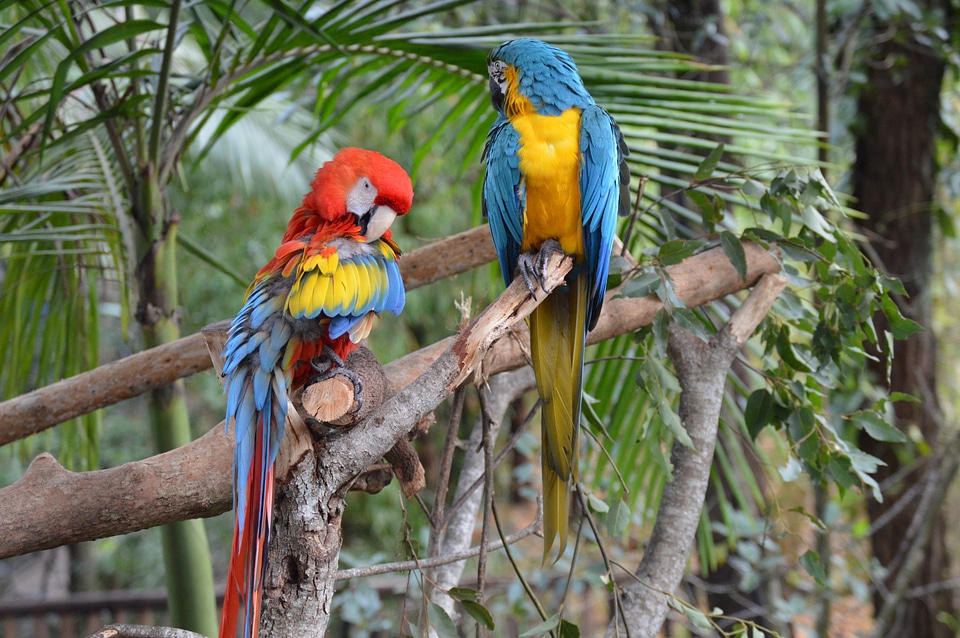 Bright colorful colourful