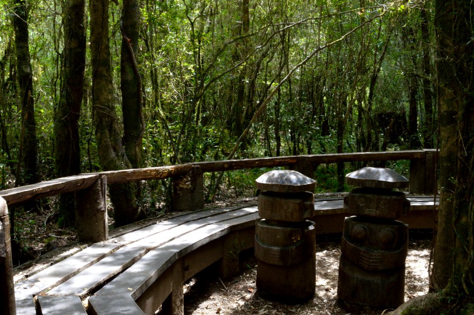 Bosque de los espíritus