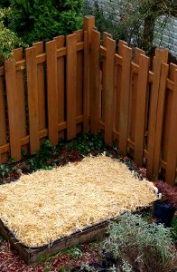 #365 potatoes straw Mar20