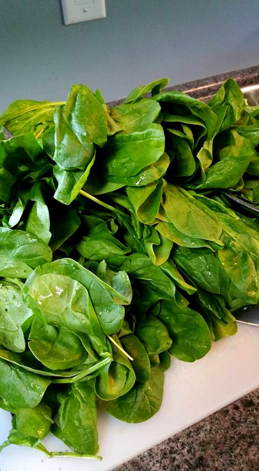 #365 spinach pie to be