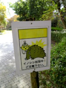 Ehime, Japan