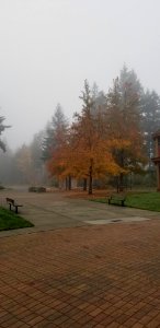 Day 294. More like I expect October to feel like
