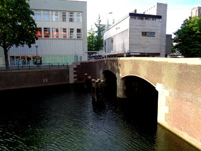 DSC00742