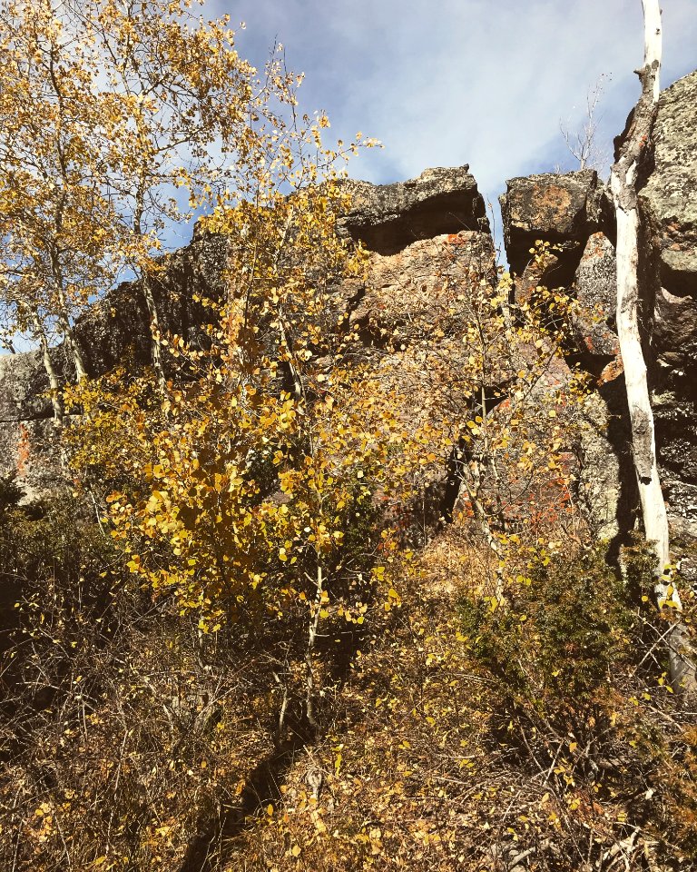 Golden Leaves - Muddy Mountain.KatyKuhnel