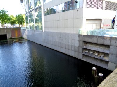 DSC00729