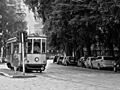 Old tram in Milan photo