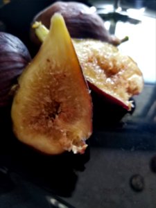 Day 220 fresh from the tree