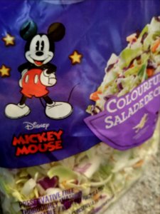 Day 059 Mickey says "eat you cabbage"?