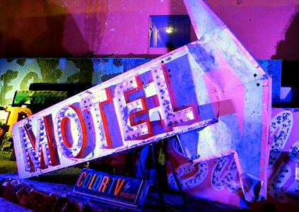 The Neon Boneyard