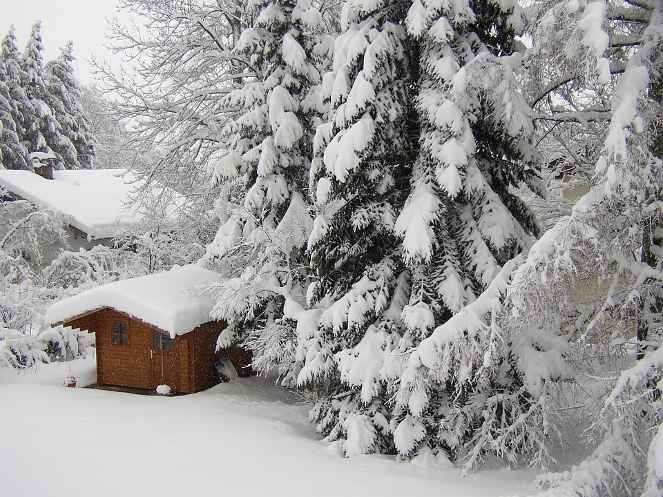 Garden white hell photo