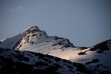 DSC 1768
