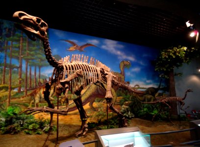 the dinosaur fossil replica which is as same as the real one photo