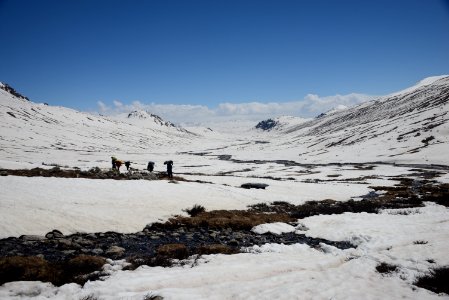 DSC 1828