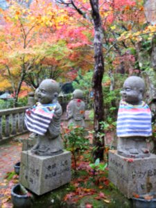 Miyajima Daisho-in temple complex autumn (宮島)
