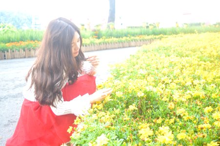 DSC 0127