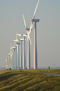 Wind energy view wicks
