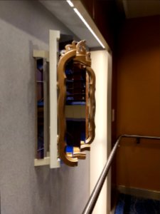 Celebrity Reflection