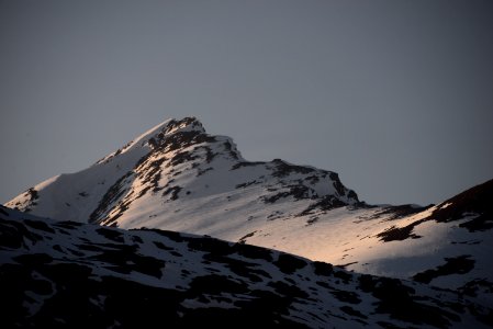 DSC 1774