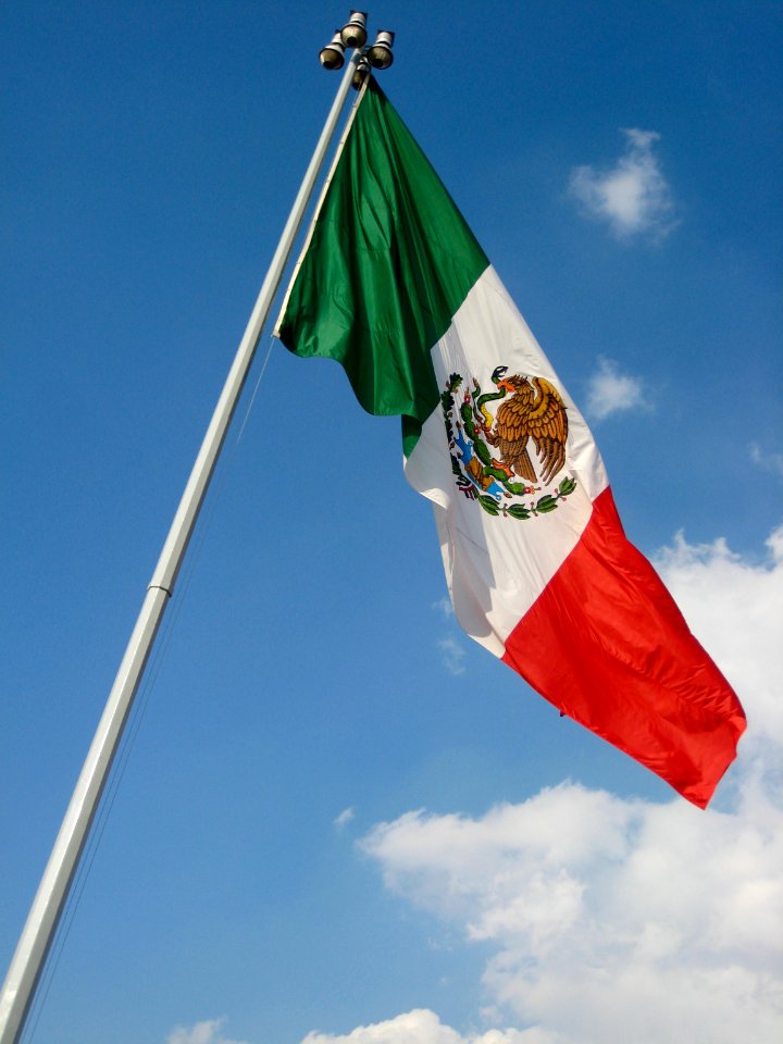 Bandera de México 3