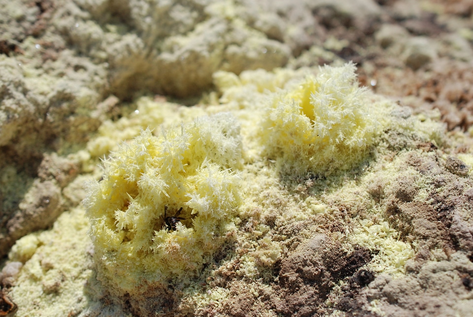 Volcano crater sulfur crystal