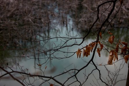After winter