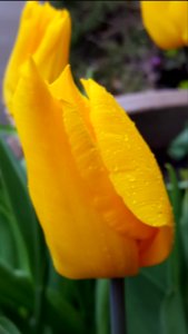 2017-04-25 09-40-02